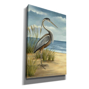 'Shore Bird I' by Ethan Harper Canvas Wall Art,Size A Portrait