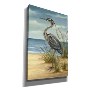 'Shore Bird II' by Ethan Harper Canvas Wall Art,Size A Portrait