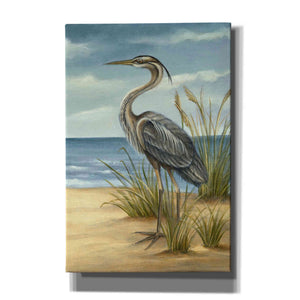 'Shore Bird II' by Ethan Harper Canvas Wall Art,Size A Portrait
