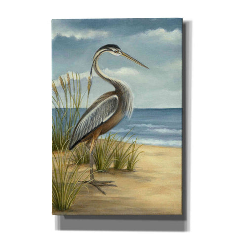 Image of 'Shore Bird I' by Ethan Harper Canvas Wall Art,Size A Portrait
