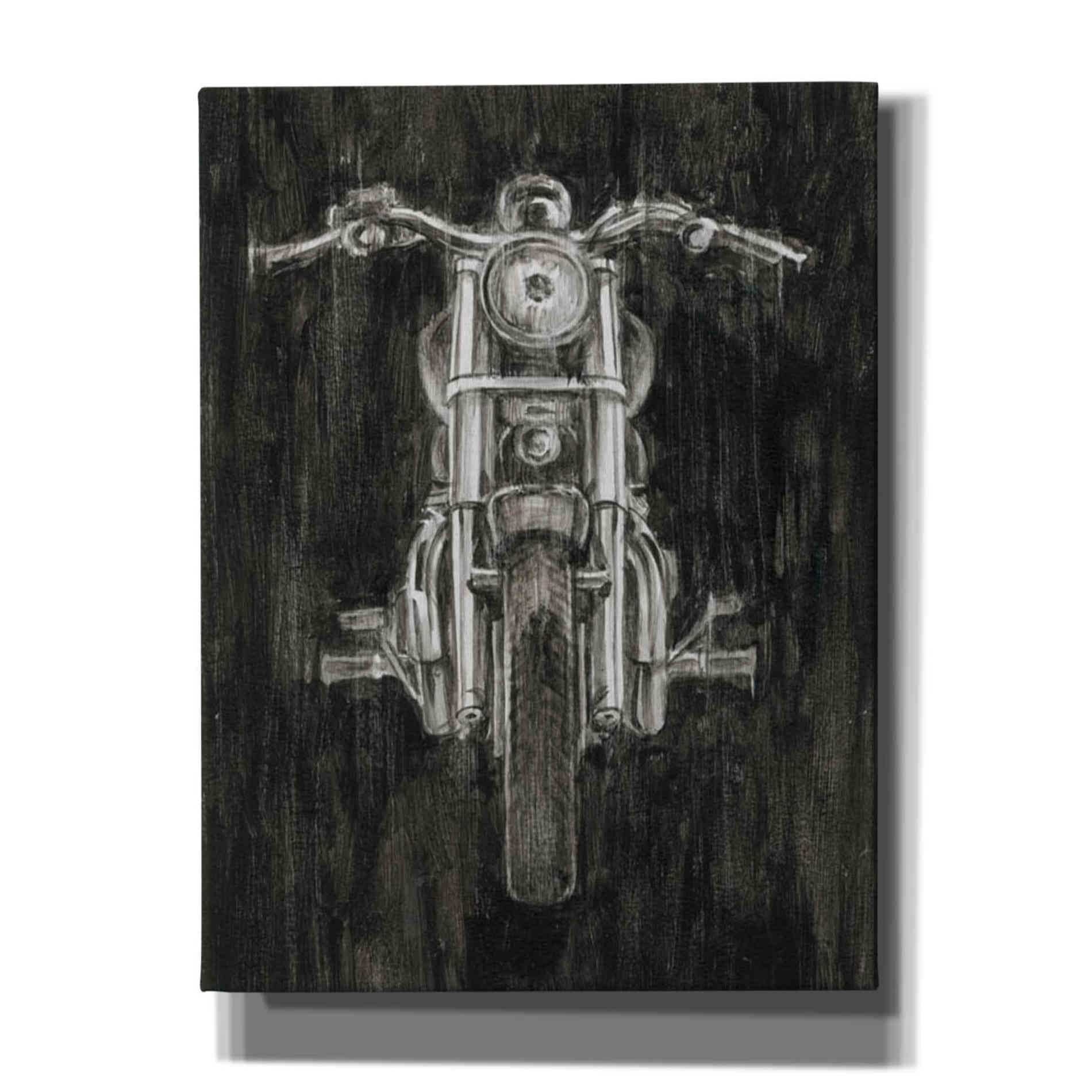 'Steel Horse II' by Ethan Harper Canvas Wall Art,Size B Portrait