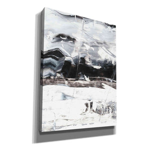 'Winter Lightning I' by Ethan Harper Canvas Wall Art,Size B Portrait