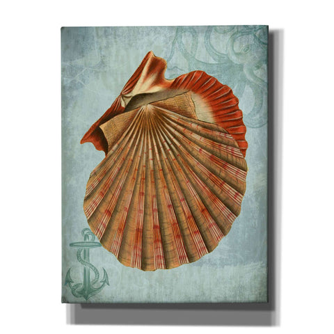 Image of 'Coastal Life Collection 2 c,' by Fab Funky, Giclee Canvas Wall Art