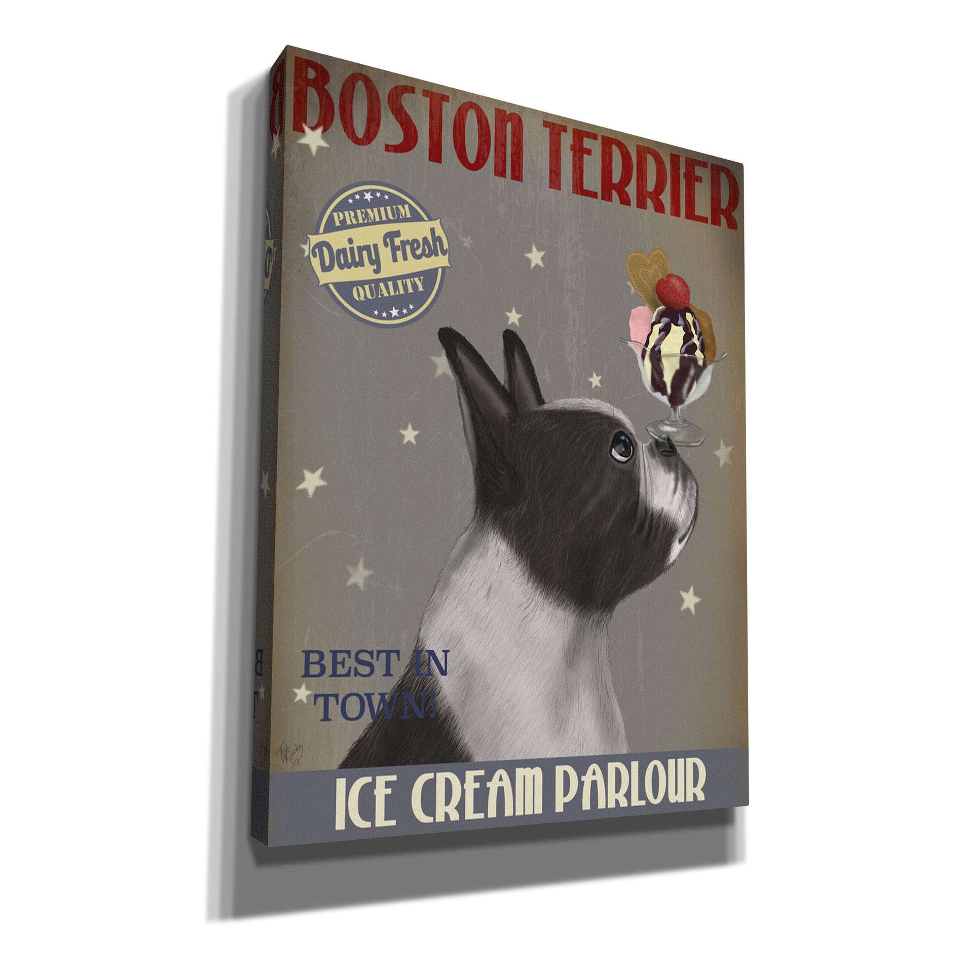 'Boston Terrier Ice Cream,' by Fab Funky, Giclee Canvas Wall Art