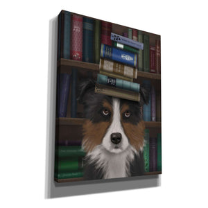'Border Collie, Tricolour, and Books,' by Fab Funky, Giclee Canvas Wall Art