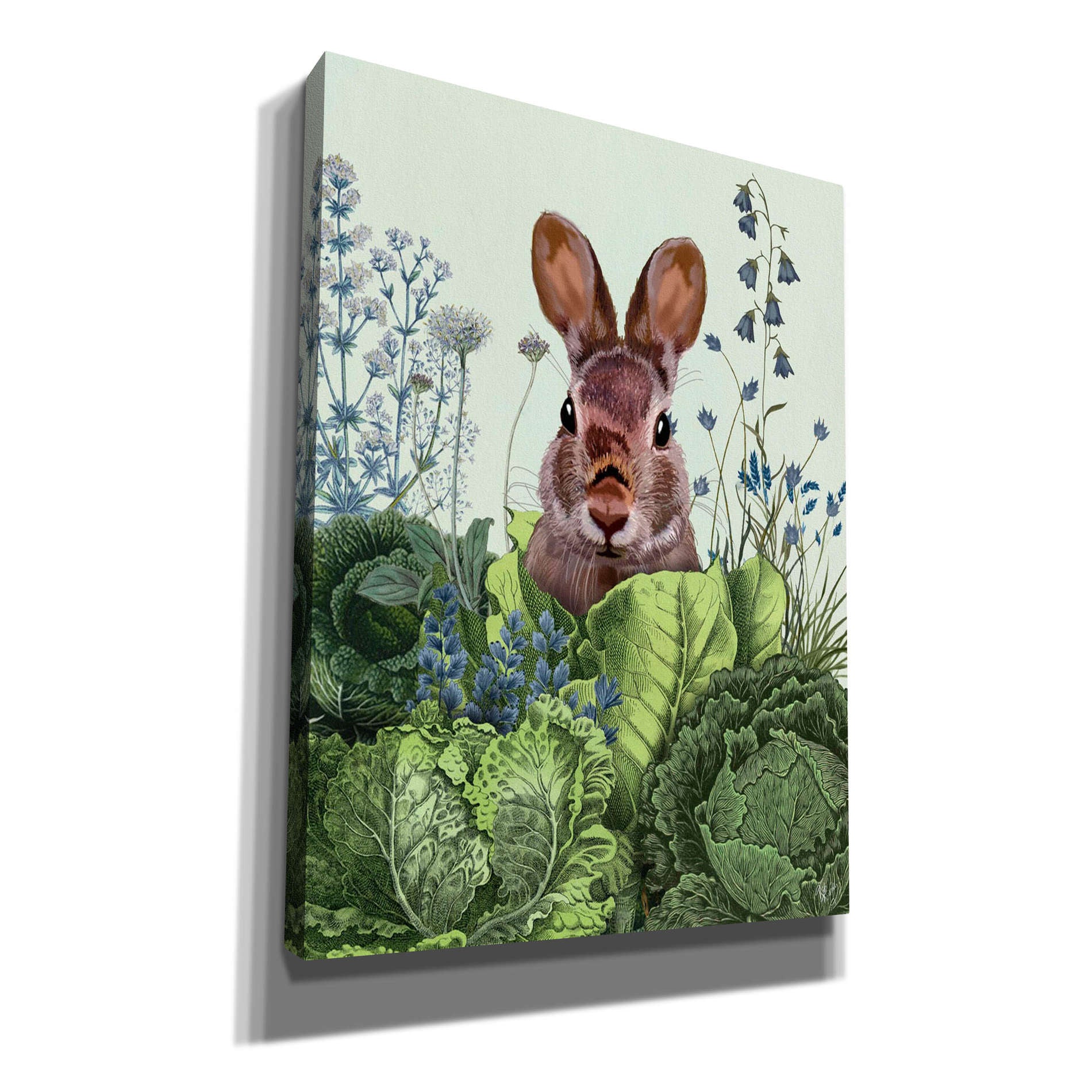 'Cabbage Patch Rabbit 6 ' by Fab Funky, Giclee Canvas Wall Art