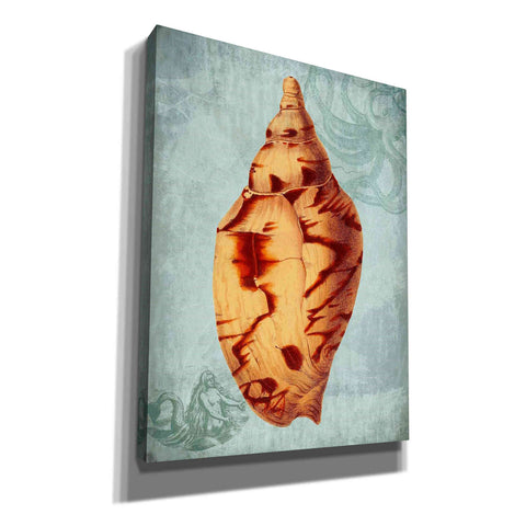 Image of 'Coastal Life Collection 2 d' by Fab Funky Giclee Canvas Wall Art