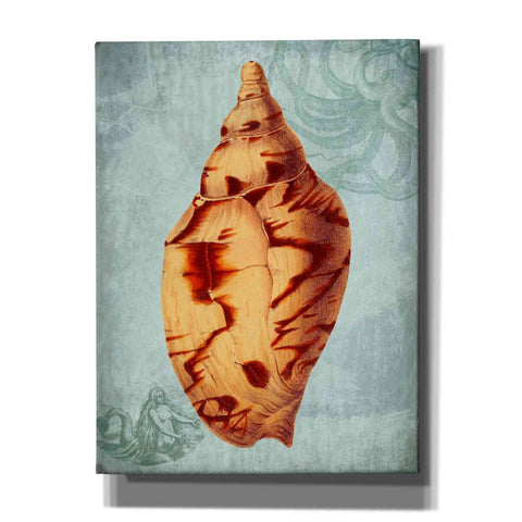 Image of 'Coastal Life Collection 2 d' by Fab Funky Giclee Canvas Wall Art