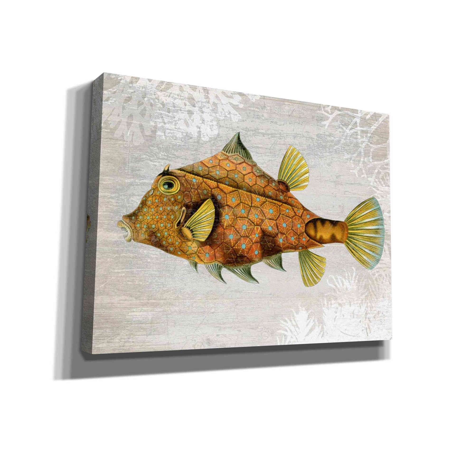 'Gold Turret Fish' by Fab Funky Giclee Canvas Wall Art