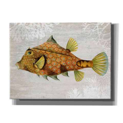 Image of 'Gold Turret Fish' by Fab Funky Giclee Canvas Wall Art