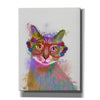'Rainbow Splash Cat 1' by Fab Funky Giclee Canvas Wall Art