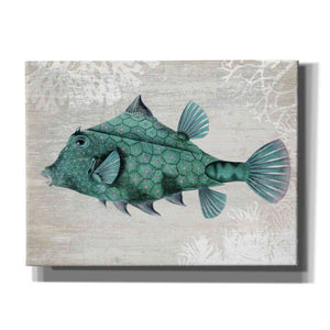 'Turquoise Turret Fish' by Fab Funky Giclee Canvas Wall Art