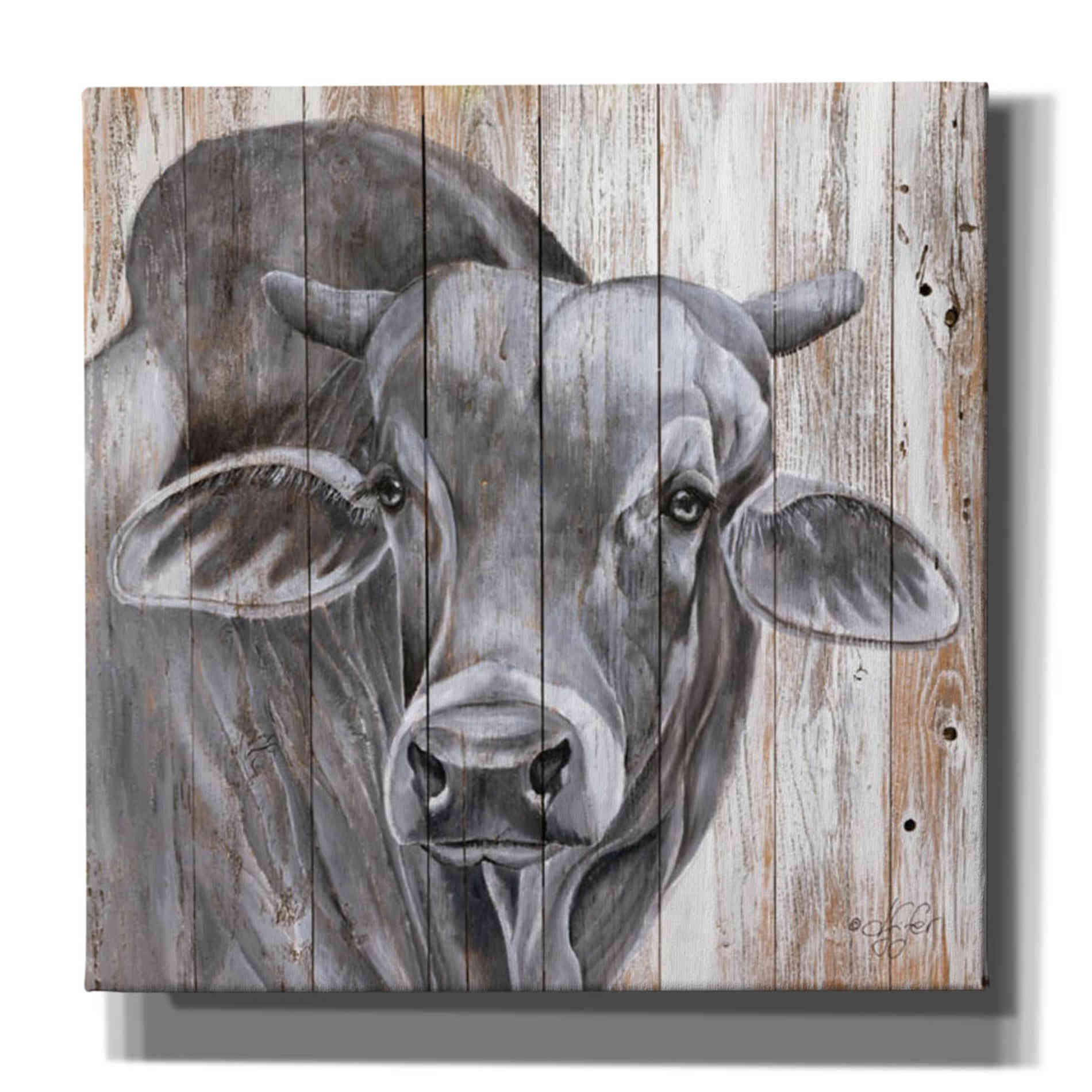 'Eyes Wide Open' by Diane Fifer, Giclee Canvas Wall Art