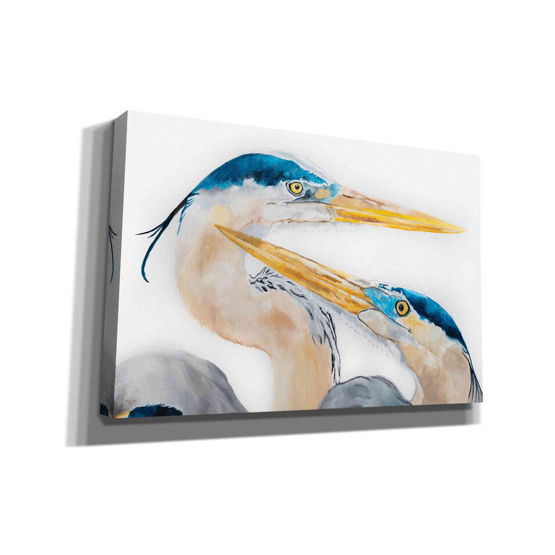 'The Dance' by Diane Fifer, Giclee Canvas Wall Art