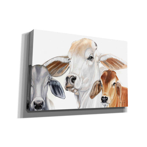 Image of 'Ranch Life' by Diane Fifer, Giclee Canvas Wall Art