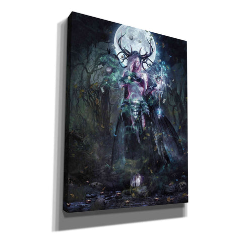 Image of 'The Dreamcatcher' by Cameron Gray, Canvas Wall Art