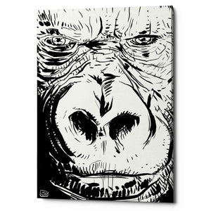 'Gorilla' by Giuseppe Cristiano, Canvas Wall Art