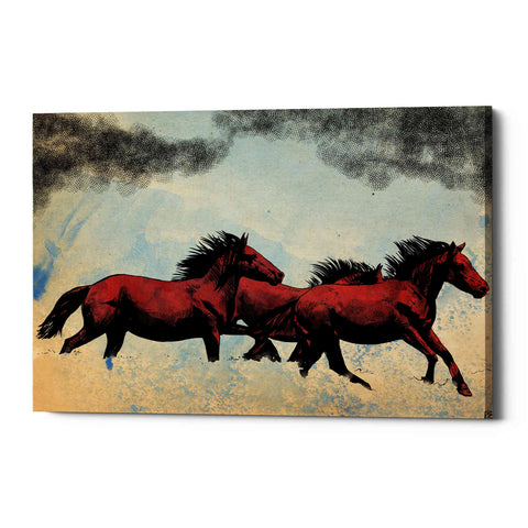 Image of 'Horses' by Giuseppe Cristiano, Canvas Wall Art