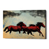 'Horses' by Giuseppe Cristiano, Canvas Wall Art