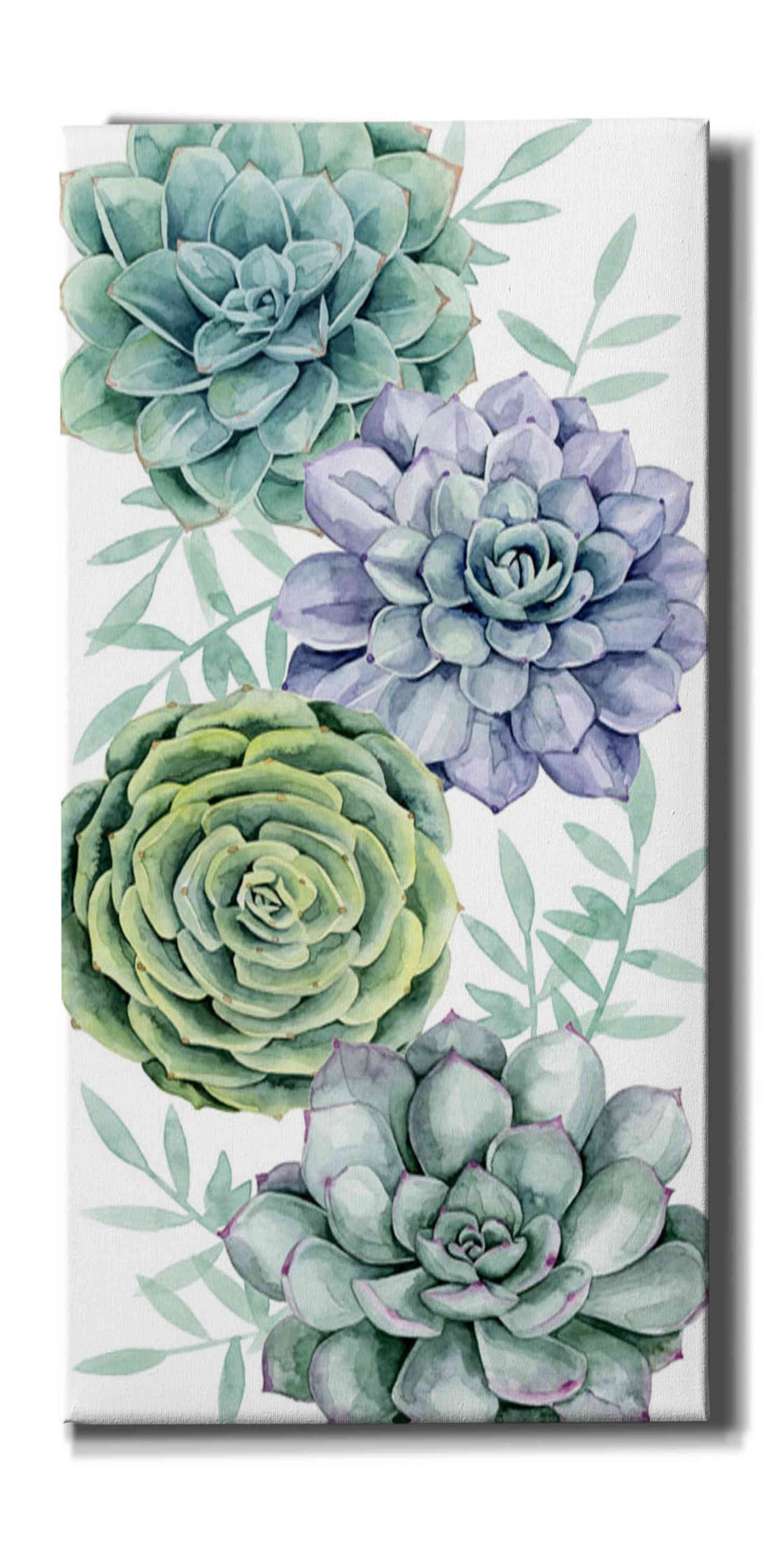 'Succulent Collection B' by Grace Popp Canvas Wall Art