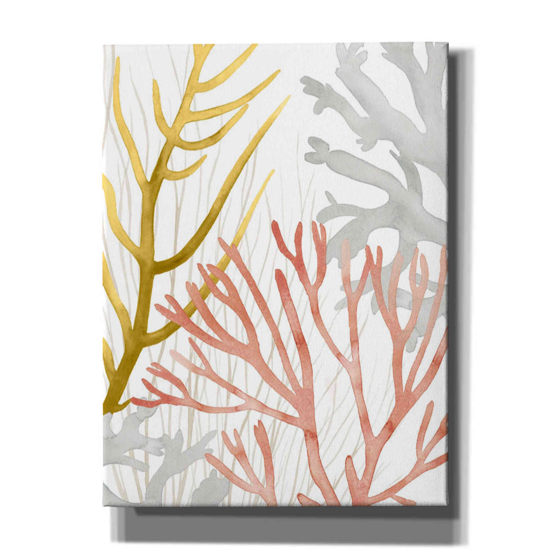 'Desert Coral II' by Grace Popp Canvas Wall Art