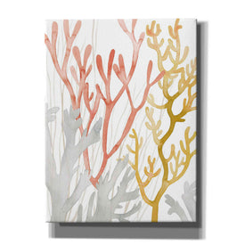 'Desert Coral I' by Grace Popp Canvas Wall Art