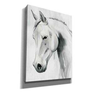 'Horse Whisper I' by Grace Popp Canvas Wall Art