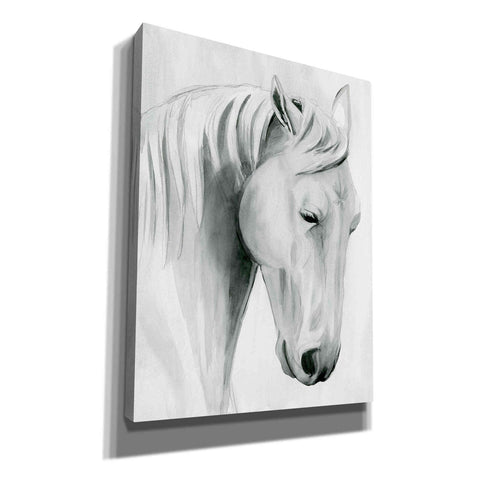 Image of 'Horse Whisper II' by Grace Popp Canvas Wall Art