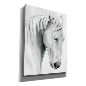 'Horse Whisper II' by Grace Popp Canvas Wall Art