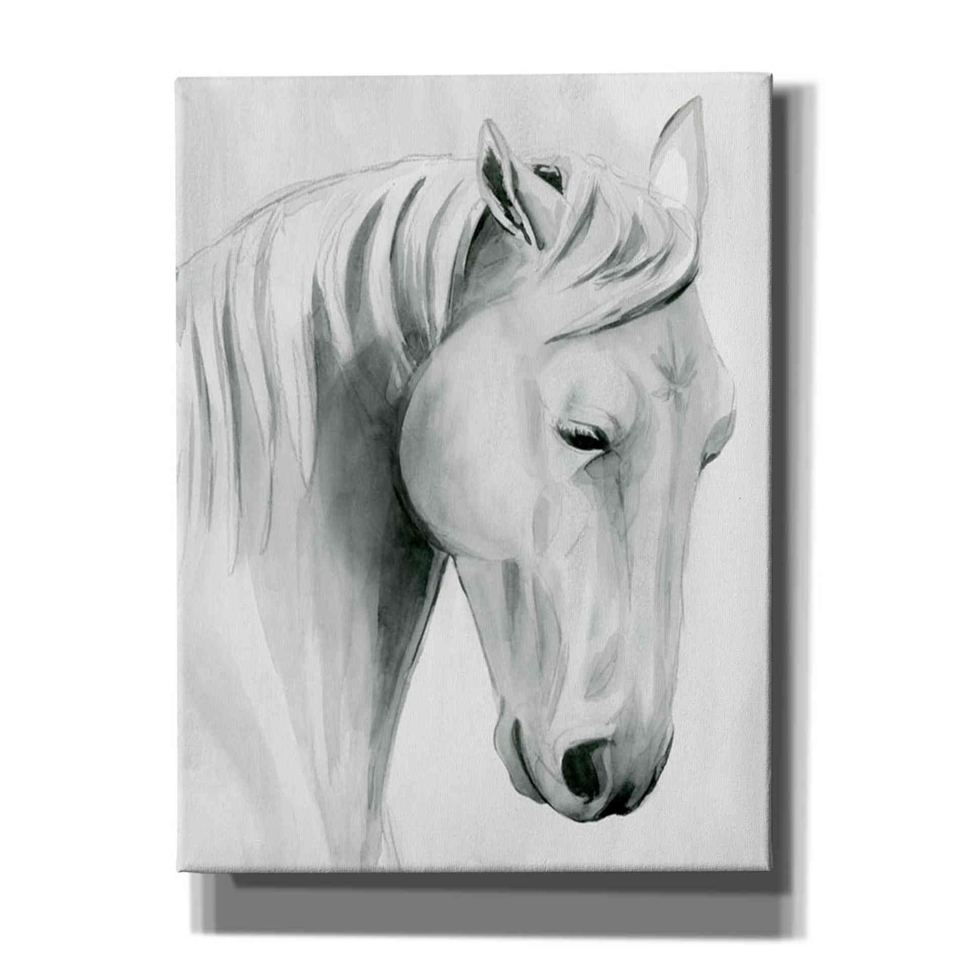 'Horse Whisper II' by Grace Popp Canvas Wall Art