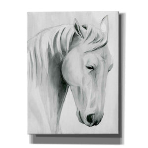 'Horse Whisper II' by Grace Popp Canvas Wall Art
