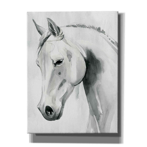 Image of 'Horse Whisper I' by Grace Popp Canvas Wall Art
