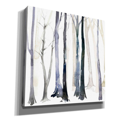 Image of 'In the Forest II' by Grace Popp Canvas Wall Art