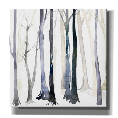 Image of 'In the Forest II' by Grace Popp Canvas Wall Art