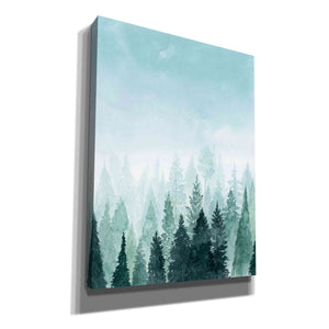 'Into the Trees I' by Grace Popp Canvas Wall Art