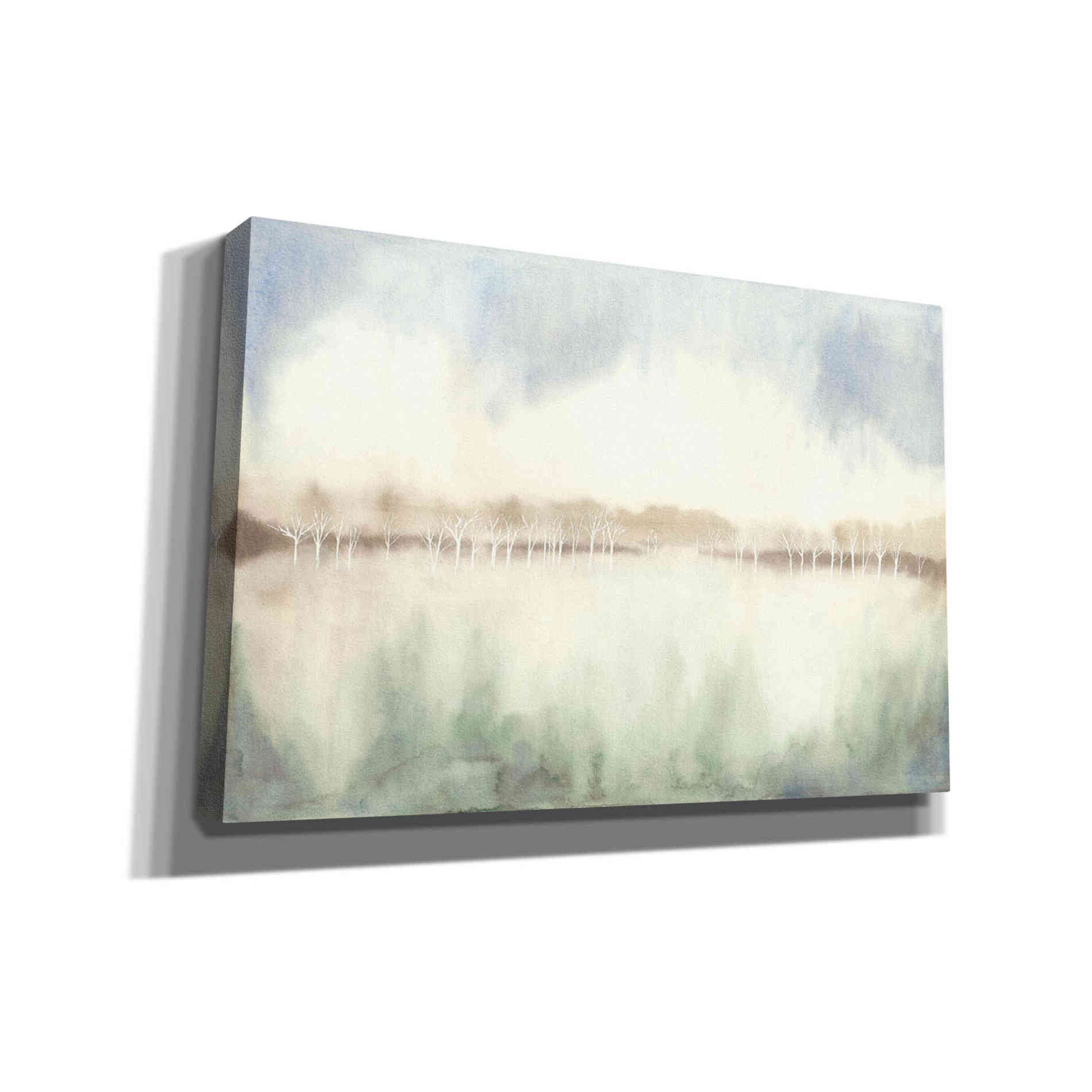 'Mid Morning Mist I' by Grace Popp Canvas Wall Art