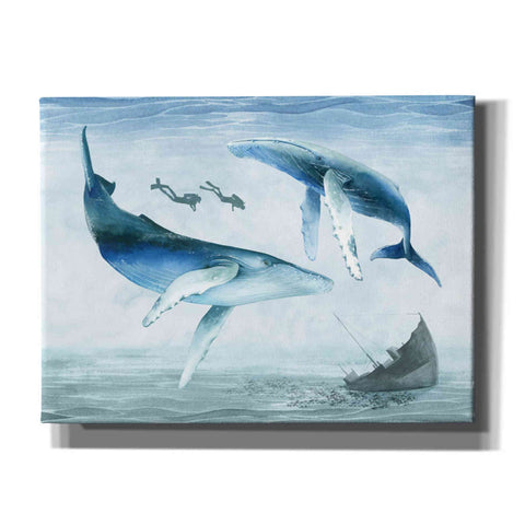Image of 'Ocean Adventure Collection A' by Grace Popp Canvas Wall Art
