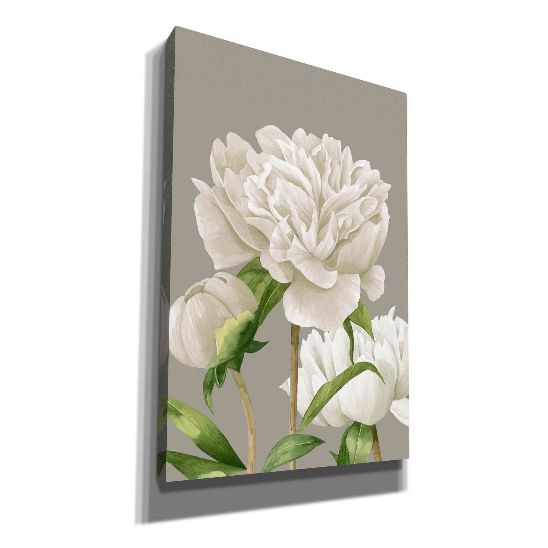 'White Peonies II' by Grace Popp Canvas Wall Art