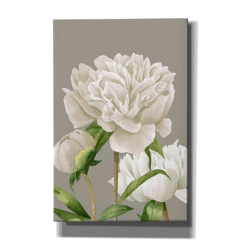 Image of 'White Peonies II' by Grace Popp Canvas Wall Art