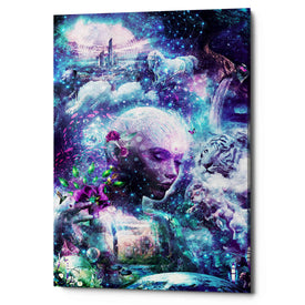 'Discovering The Cosmic Consciousness' by Cameron Gray, Canvas Wall Art