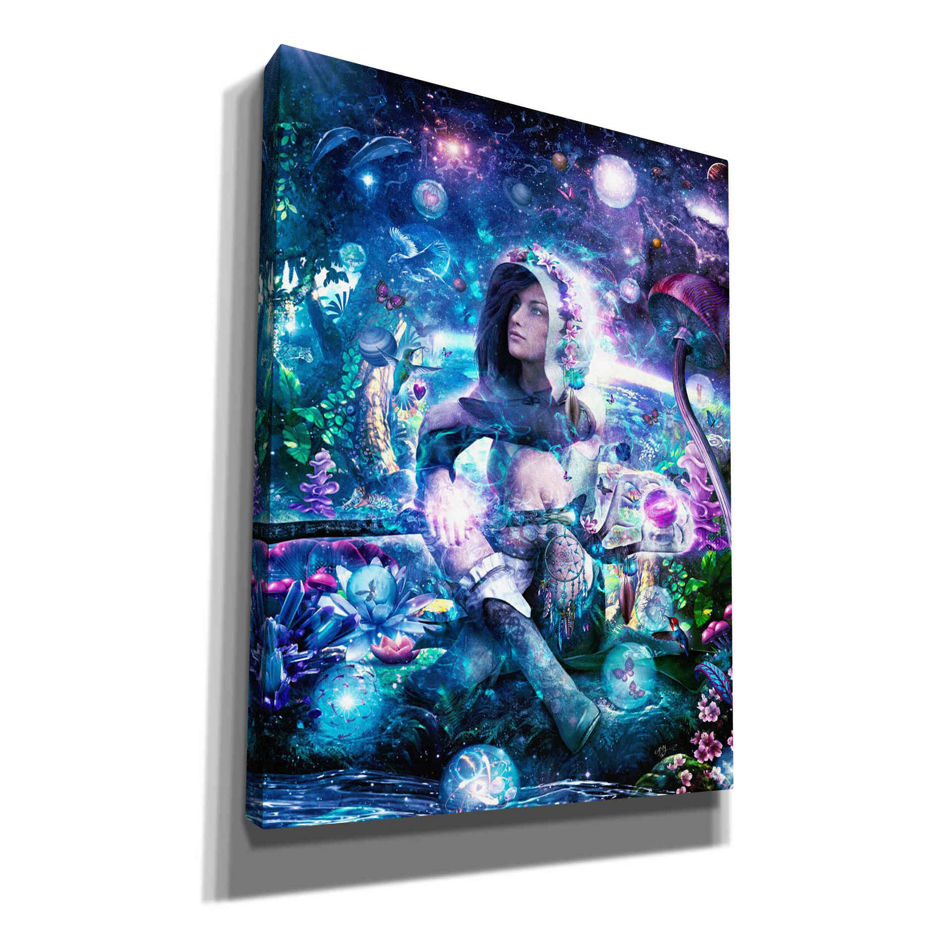 'Observing Our Celestial Synergy' by Cameron Gray, Canvas Wall Art