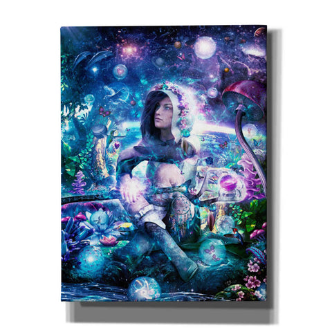 Image of 'Observing Our Celestial Synergy' by Cameron Gray, Canvas Wall Art