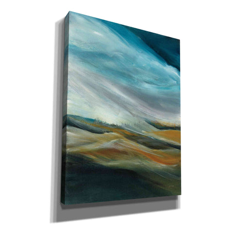 Image of 'Sand Storm' by Jan Griggs, Giclee Canvas Wall Art