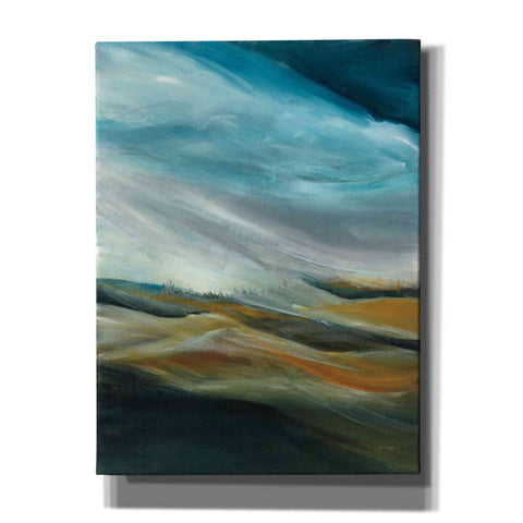 Image of 'Sand Storm' by Jan Griggs, Giclee Canvas Wall Art