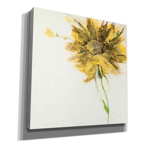 'Yellow Daisy on White' by Jan Griggs, Giclee Canvas Wall Art