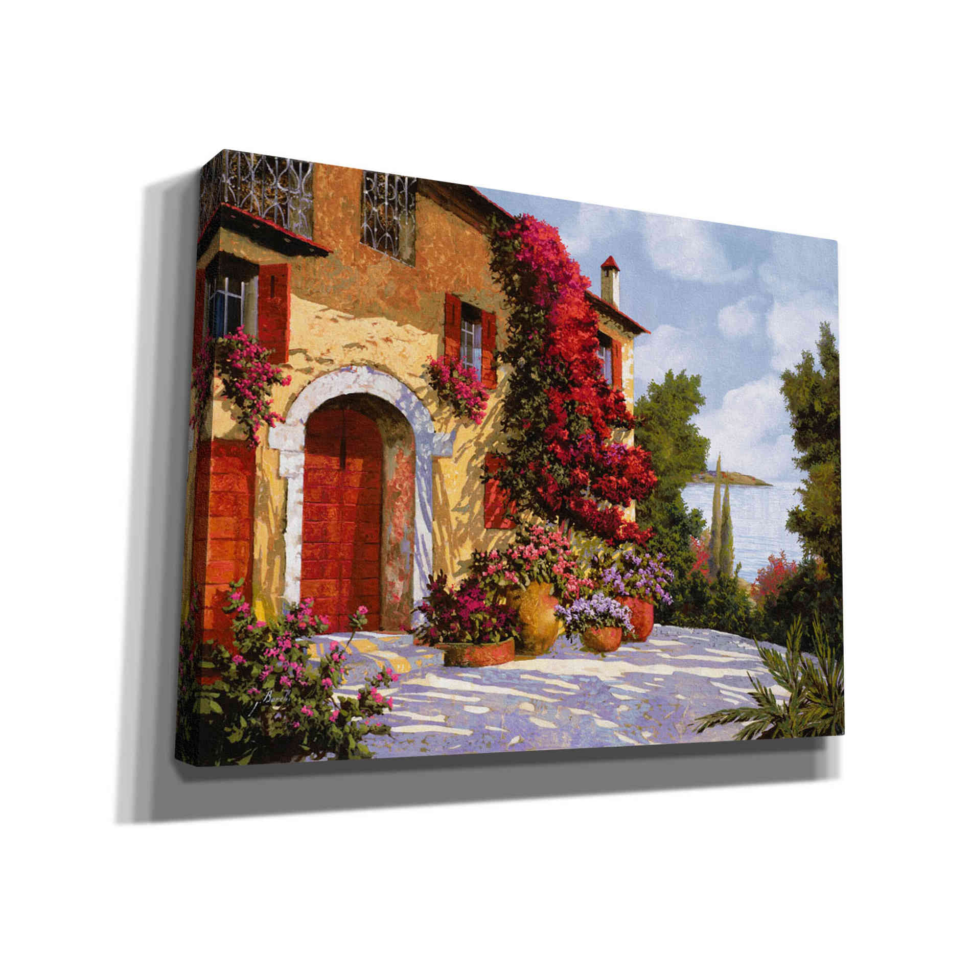 'Bouganville' by Guido Borelli, Giclee Canvas Wall Art