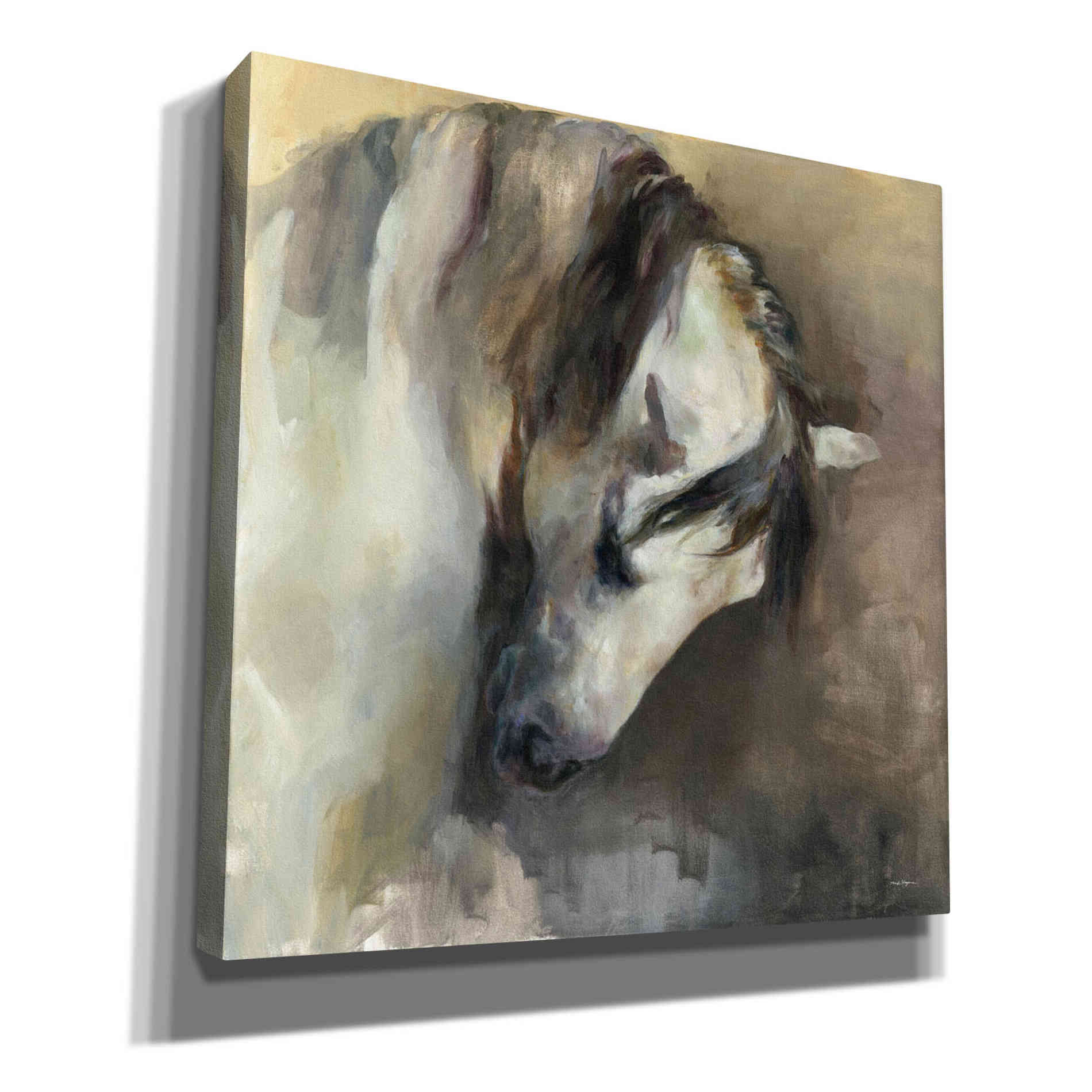 'Classical Horse' by Marilyn Hageman, Canvas Wall Art