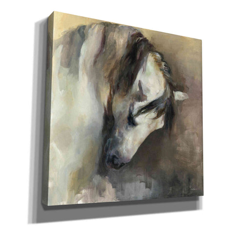 Image of 'Classical Horse' by Marilyn Hageman, Canvas Wall Art