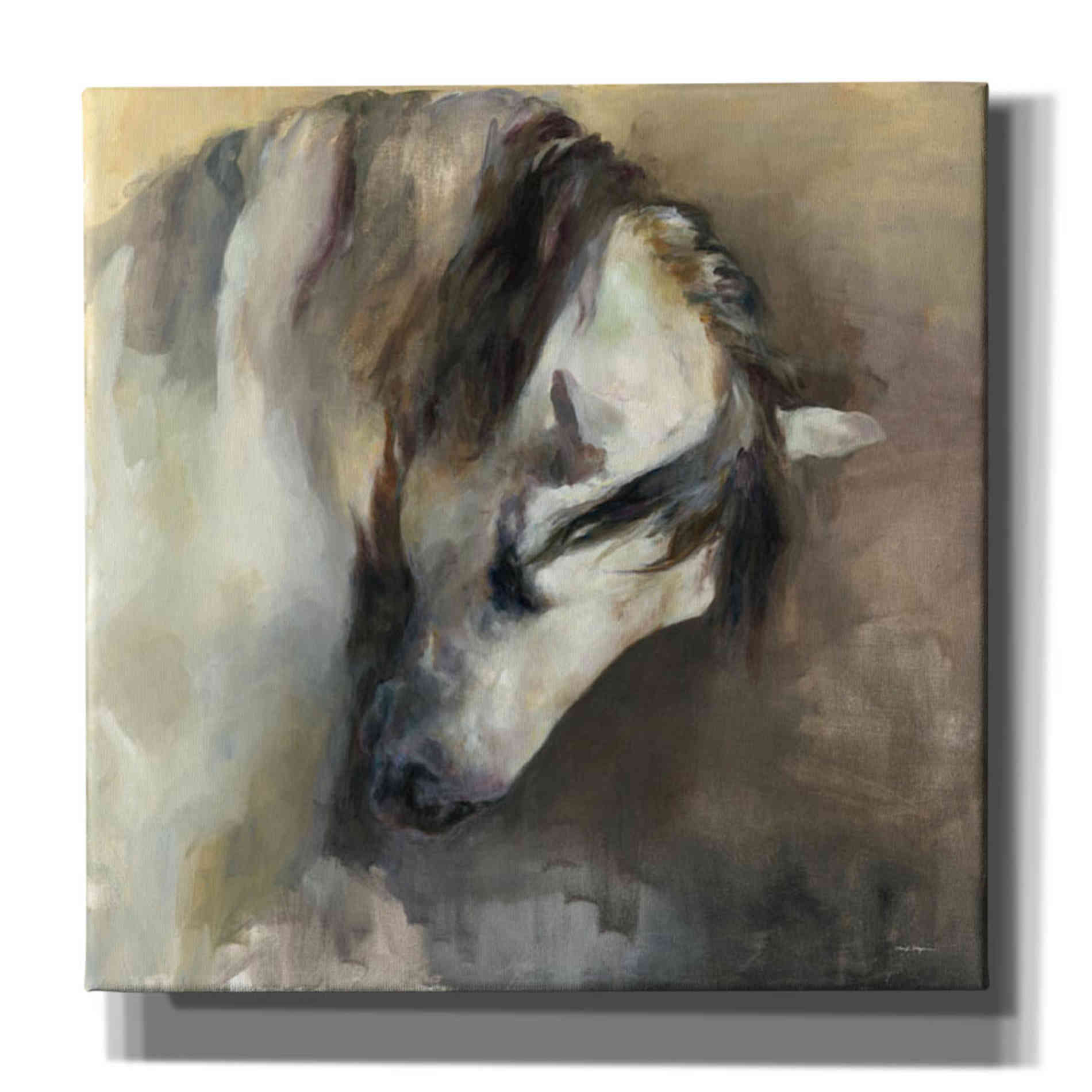 'Classical Horse' by Marilyn Hageman, Canvas Wall Art
