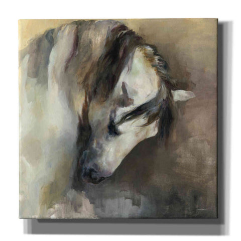 Image of 'Classical Horse' by Marilyn Hageman, Canvas Wall Art